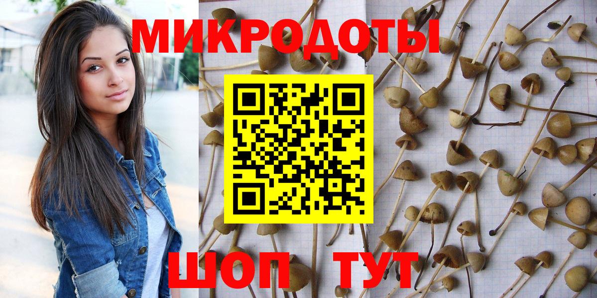 Псилоцибиновые грибы мухоморы  купить   Киров  Вход с VPN 